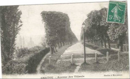 CHATOU  Avenue Des Tilleuls - Chatou