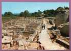 SAINT REMY DE PROVENCE - Les Fouilles De Glanum. Ed. Y.P.A. N° 382. 2 Scans - Saint-Remy-de-Provence