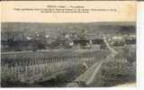 Véron  (89) : Chemin Dans Les Vignes Et Vue Générale Environ 1910(animée) - Veron