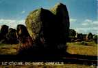 CPSM.  LE CHEVAL DE SAINT CORNELY. CARNAC ALIGNEMENTS DU MENEC....DATEE 1974. - Dolmen & Menhirs
