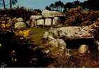 CPSM. MONUMENTS MEGALITHIQUES DE MANE KERIONED PRES DE CARNAC. - Dolmen & Menhirs