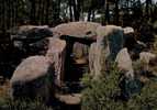 CPSM.  VIEILLES PIERRES . DOLMEN DE CRUCUNO. - Dolmen & Menhirs