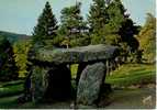 CPSM.  EN AUVERGNE. SAINT NECTAIRE. LE DOLMEN. - Dolmen & Menhirs