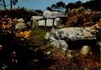 CPSM. MONUMENTS MEGALITHIQUES DE MANE KERIONED PRES DE CARNAC. - Dolmen & Menhire