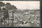 ALPES MARITIMES - Vallauris : Vue Générale Et Les Alpes - Vallauris