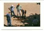 Delcampe - CPSM PETANQUE Joueurs Boules Ambiance Méridionale 1996 - Boule/Pétanque