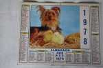 1978 -CALENDRIER ALMANACH  DES PTT CHIEN CANICHE POUSSINS- CHATONS - Formato Grande : 1971-80