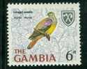 Gambia 1966, Yv. 214, Pigeon Vert Waalia Oiseau - Bird Green-Pigeon MNH ** - Piccioni & Colombe