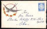 Oiseaux Hirondelles De Cheminée,1960 Cover Liliput Enteire Postal Romania. - Rondini