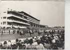 THE GRANDSTAND EPSON 1966 - Surrey