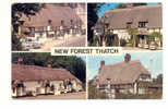 OLD FOREIGN 2238 - UNITED KINGDOM - ENGLAND -  NEW FOREST THATCH OLD CARS RESTAURANT AUTOMOBILES - Sonstige & Ohne Zuordnung