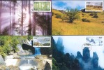 CHINE 1998/13 - MC Forêt De Shennongjia - Maximumkarten