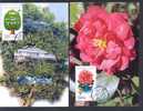 CHINE 1999/04 - MC Foire Horticole - Cartes-maximum