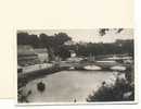 M 432  HENNEBONT    LES QUAI ET LE BLAVET  1952 - Hennebont