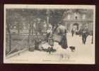 Paris Vécu L'aveugle Du Pont Des Arts  édit.L.J. & Cie Sans N° (4) Animée Belle Carte - Lotti, Serie, Collezioni