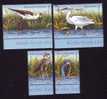 BIRDS FLAMANTS ,AIGLE,2009 MNH,4 STAMP FULL SET,ROMANIA - Unused Stamps