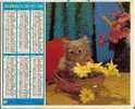 Calendriers Des PTT 1981 RHONE - Groot Formaat: 1981-90