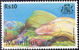 Pays : 320,3 (Maurice (Ile) : République)  Yvert Et Tellier N° :  955 (o) - Mauritius (1968-...)