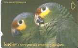 TARJETA DE TURQUIA DE UNOS LOROS (PARROT-LORO) - Parrots