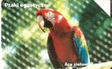 TARJETA DE POLONIA DE UN GUACAMAYO  (PARROT-LORO) - Pappagalli