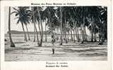 Plantation De Cocotiers - Samoa