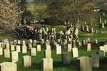 Cpm Arlington Cimetery  Military Honors - Autres & Non Classés