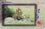 Télécarte CHINE - ANIMAL Félin - GUEPARD - Feline CHEETAH CHINA TELECOM Phonecard - GEPARD - 169 - Cina