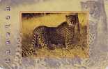 Télécarte Puce Afrique Du Sud  Félin - GUEPARD - Feline CHEETAH Phonecard - GEPARD - 180 - Sudafrica