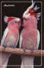 Major Mitchell Cockatoos. Carte Neuve Classic Collection  Australia - Other & Unclassified