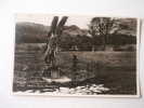 UK -Wales - BEDDGELERT - Gelert's Grave   VF  D51710 - Caernarvonshire