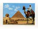 - EGYPTE . GIZEH . LE GRAND SHINX ET LA PYRAMIDE DE KHEPHREN - Gizeh