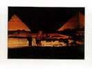 - EGYPTE GIZEH  . SON ET LUMIERE PRES DES PYRAMIDES - Gizeh