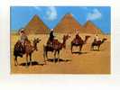 - EGYPTE . GIZA . LES  PYRAMIDES DE CHEOPS KHEPHREN ET MYKERINOS - Pyramiden