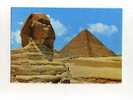 - EGYPTE . GIZA . LE GRAND SPHINX ET  PYRAMIDES DE CHEOPS - Sfinge