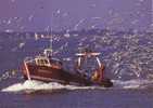 LaTurballe Retour Au Port Bateau De Pêche Chalutier - La Turballe