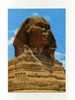 - EGYPTE . GIZA . LA TETE DU  GRAND SPHINX - Sfinge