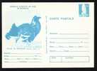 Wild Rooster Capercaillie Hunting 1 STE 1977 Romania - Galline & Gallinaceo