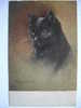 English Cats Par Minnie Keene  Chat Noir La Carte OLIO Breveté Impression Peinture  Serie 807 - Katten