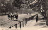 HIPPISME    Angleterre , London , View In Hyde Park , Animation Un Coin De France En Angleterre CPA ,année  1908 - Paardensport