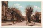 Carte Postale Ancienne Thiais - Avenue De Villeneuve Le Roi - Thiais