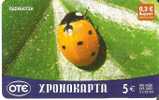 TARJETA DE GRECIA DE UNA MARIQUITA (LADYBUG) - Ladybugs