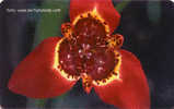 Turkey - TR-C37 - Çiçek 18 - EXPIRES DATE:  EKIM 2006  - Flower - Blume - Turkey