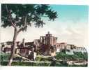 Basilicata IRSINA Matera Panorama Città Antica Viaggiata - Formato Grande - - Altri & Non Classificati