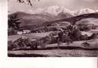 COMBLOUX  -  Vue Générale Et Le Mont Blanc   - N°  25 S - Combloux