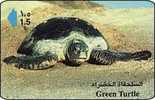 Oman Phonecard Green Turtle Schildkröte - Turtles
