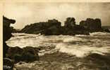 29 / Plouguerneau. Lilia Plouguerneau. Les Gros Rochers De L'Ile Vierge - Plouguerneau