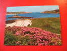 CPM - ANGLETERRE -NEW GRIMSBY CHANNEL,TRESCO ISLES OF SCILLY-CARTE EN BON ETAT. - Sonstige & Ohne Zuordnung