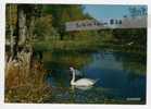 - Pertuis - Souvenir Du Vaucluse -  Cygnes Blancs -  écrite,  Trés Bon état. - Pertuis