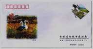 Grey Heron Bird,China 2005 Baicheng City Tourism Bureau Advertising Postal Stationery Envelope - Cigognes & échassiers