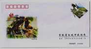 Black-tailed Hawfinch Bird,China 2005 Baicheng City Tourism Bureau Advertising Postal Stationery Envelope - Koekoeken En Toerako's